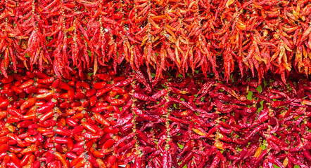 Fototapeta premium Dry hot chillis background.