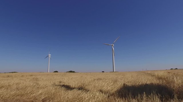 wheat field with eolic turbines wind renewable energy farm 4k