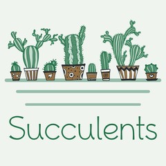Succulents composition vector illustration hand drawing inscription