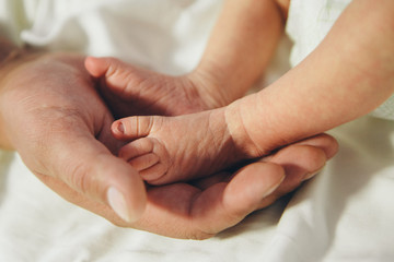 Obraz na płótnie Canvas Newborn Baby's feet. Mother and father holding newborn baby legs,legs massage concept of childhood, health care, IVF, hygiene