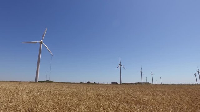 wheat field with eolic turbines wind renewable energy farm 4k