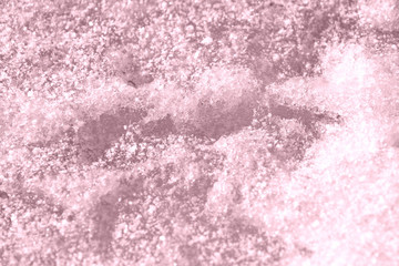 Spring snow texture close up. Abstract winter background pink color toned