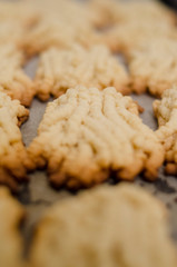 Close-up of homemade freshly baked sugar cookies with blurry background. Homemade baking.