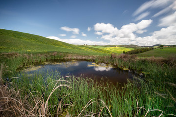 Colline Toscane con laghetto in primo piano immerso nelle verdi colline