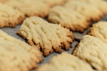 Close-up of homemade freshly baked sugar cookies with blurry background. Homemade baking.