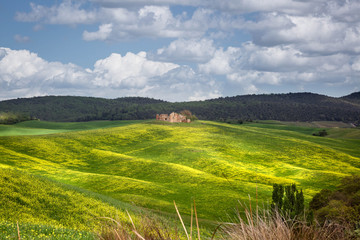 Colline Toscane con casale sullo sfondo immerso nelle verdi colline