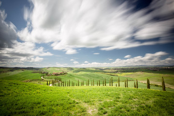 Collina Toscana, con laghetto in primo piano e filari di cipressi sul bordo di una strada sterrata che porta ad un casa immerso nelle verdi colline