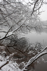 Fototapeta na wymiar unfrozen river surrounded by snowy trees