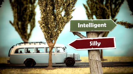 Street Sign Intelligent versus Silly