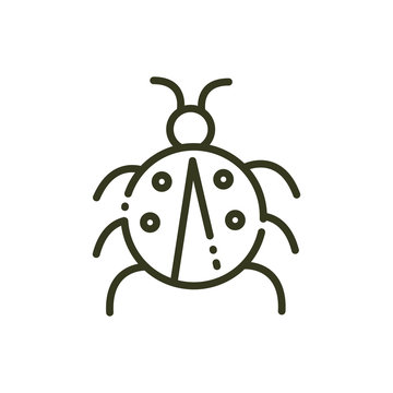 recommend clip art: ladybug insect wildlife nature line design