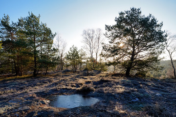 Obraz na płótnie Canvas footpath in Fontainebleau forest