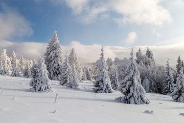 Fototapeta na wymiar Winter in the mountains