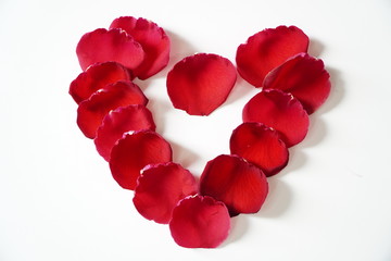 Rose petals arranged in a heart shape on a white background