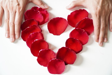 Hand rose petals heart shaped happy valentines day women