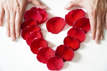 Hand rose petals heart shaped happy valentines day women
