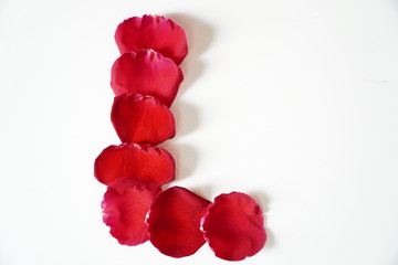 Rose petals arranged in letters on a white background.