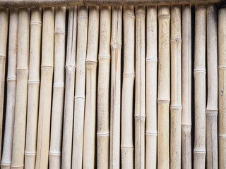 竹の垣根