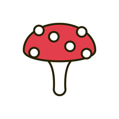 mushroom vegetation flora nature drawing