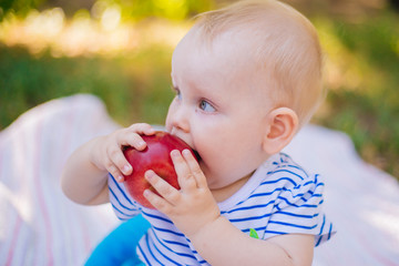 Little girl eats a red apple. Baby boy eating fruit in nature