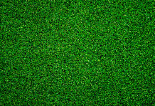 Texture Of Green Grass