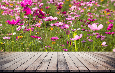 Wood desk or wood floor with cosmos flowers field background 