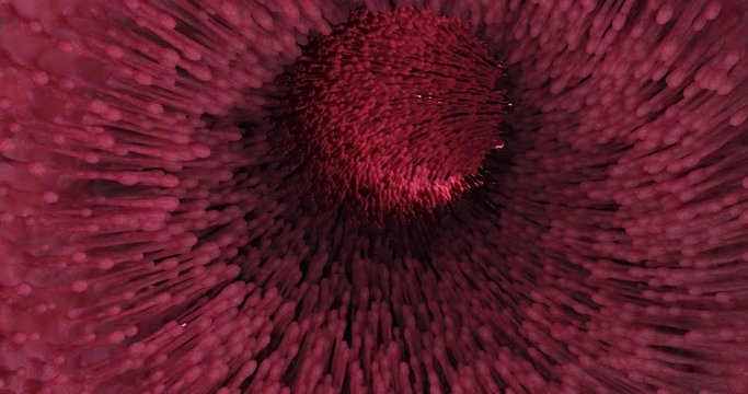 Realistic Villi Inside The Intestines Under The Microscope. Intestine Lining. Stomach problems 3d rendering 