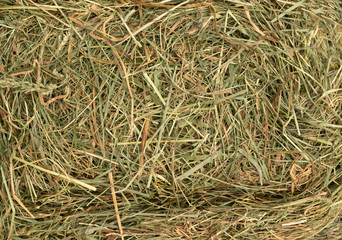 Hay Texture Straw Background Fodder Green Dry Grass in Haystack