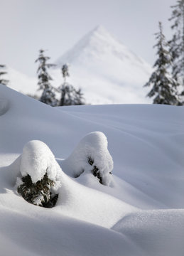 Snow-covered landscape along the path leading to the Nemes, on background the Col Quatern&agrave;, Sesto, Pusteria valley, Trentino Alto Adige, Italy, Europe