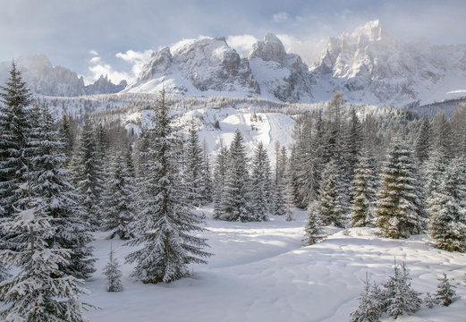 The mountains of Comelico Superiore and Sesto along the hike that leading to Malga Nemes, Sesto, Pusteria valley, Trentino Alto Adige, Italy, Europe