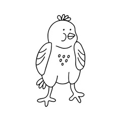 Hand drawn vector illustration of a cute little chicken in doodle style isolated on white background. Great for Easter greeting cards, poster, coloring books and logo.