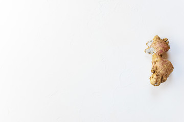 Ugly moldy ginger root on a white background. Horizontal orientation, copy space.
