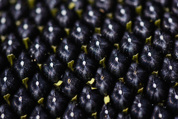 Sunflower seeds, macro. Selective focus.