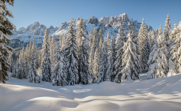 Peaks of Comelico and Sesto from the Nemes Alp, Sexten, Pusteria valley, Trentino Alto Adige, Italy, Europe