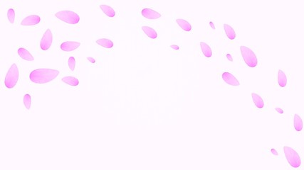 曲線を描きながら流れる桜の花びら