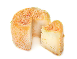 Langres cheese in studio