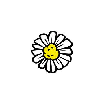 Daisy chamomile flower doodle isolated on white background vector illustration. Hand drawn camomile icon glyph
