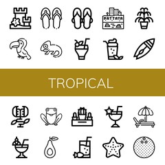 Set of tropical icons