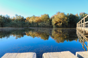 Azraq Wetland Reserve in Jordan