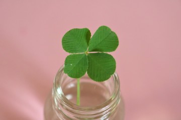 四つ葉のクローバー　幸運　縁起物