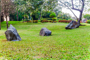 stone on  green grass in the park