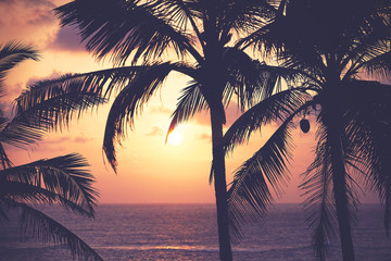 Coconut palm trees silhouettes at sunset, color toning applied, tropical vacation concept.