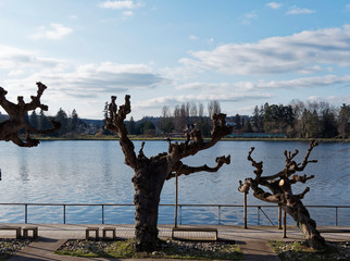 Vue depuis la promenade rive droite du lac d'Allier en Auvergne sur les berges du parc omnisports Pierre-Coulon 