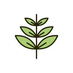 branch leaves foliage nature drawing