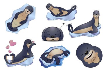 Set of seal animal with different emotions and in different poses. Vector cartoon illustration on white background.