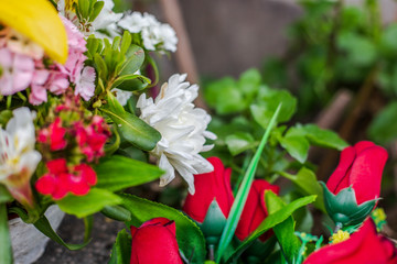 Colourful flowers on the cemetery