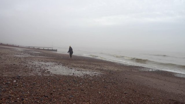 walking dog on the Brighton Beach