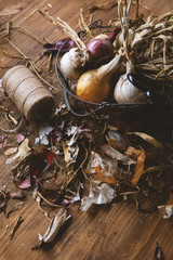 Organic roots of onions, white and brown in basket
