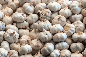 garlic pile background