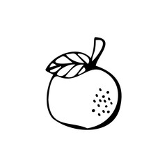 Single hand drawn apple isolated on a white background. Doodle, simple outline illustration.