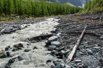 Mountainos landscape. View at forest broken by the avalanche.